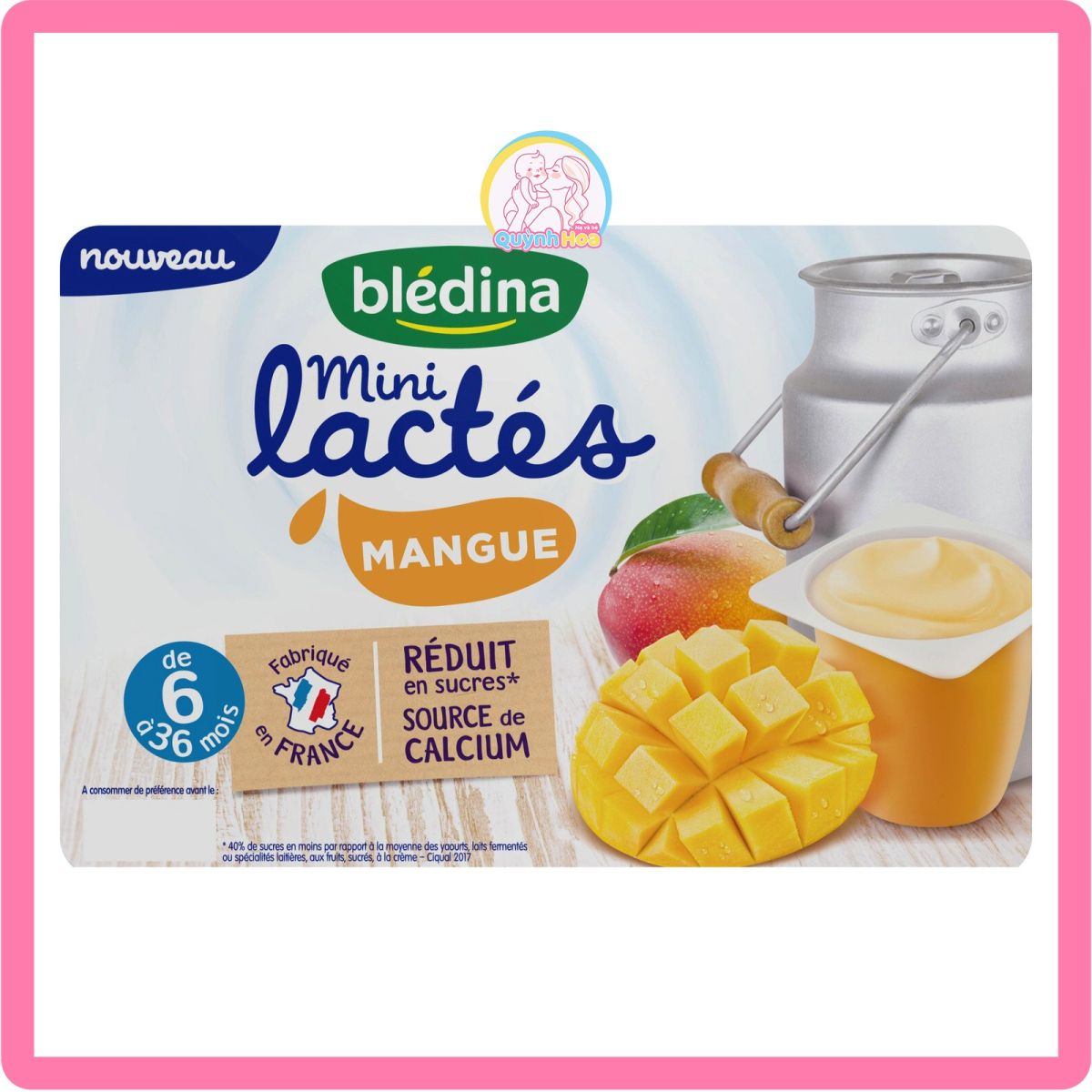 Sữa chua Bledina Pháp, 330g - VỊ XOÀI [DATE 07/2024]